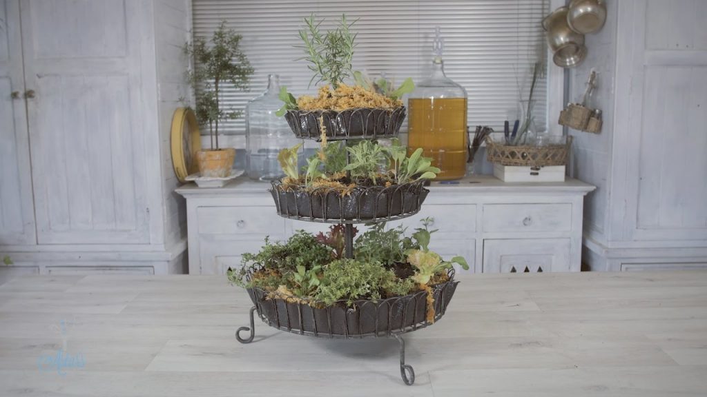 Get fresh herbs from your kitchen countertop garden
